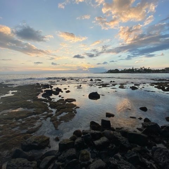 Meet your Posher, Sloane - Picture 1 of 1